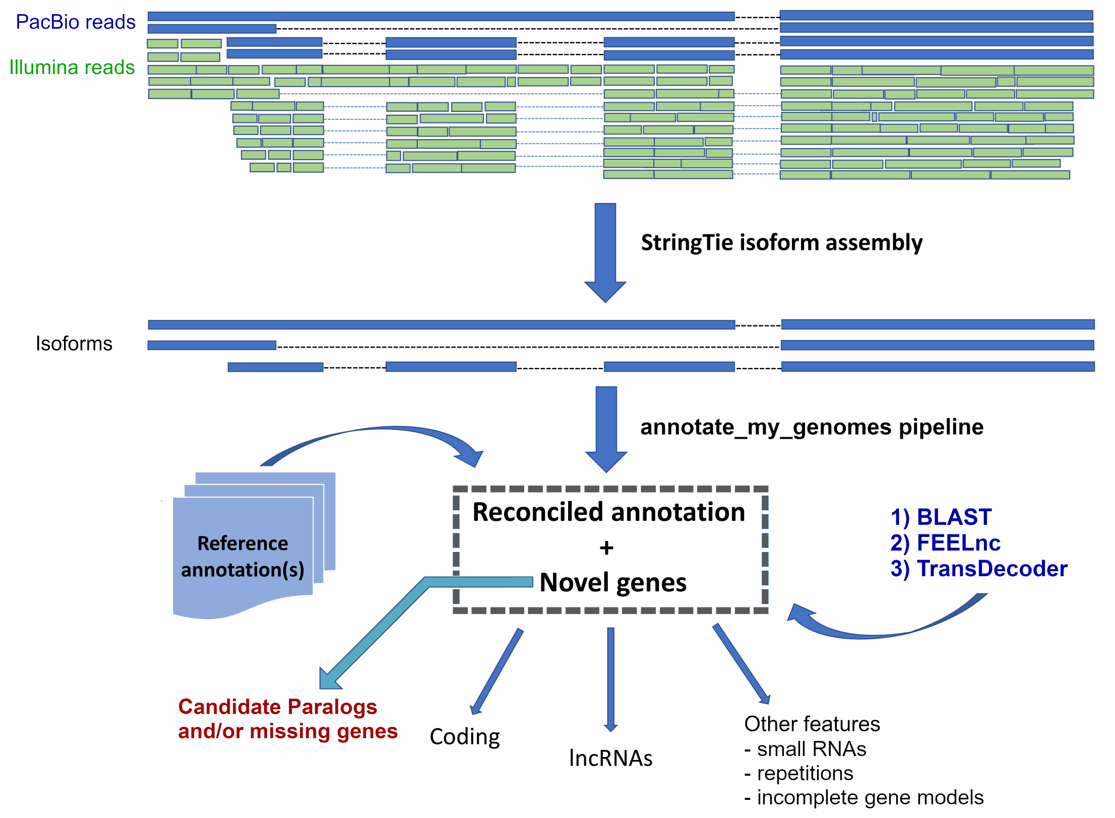 Annotate_my_genomes – An Easy-to-use Pipeline To Improve Genome ...