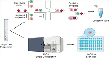 Benchmarking full-length transcript single cell mRNA sequencing ...